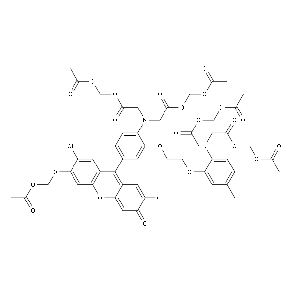 Fluo 3-AM-实验图片