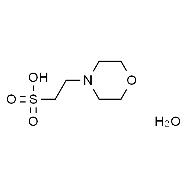 MES, Free Acid, Monohydrate-实验图片