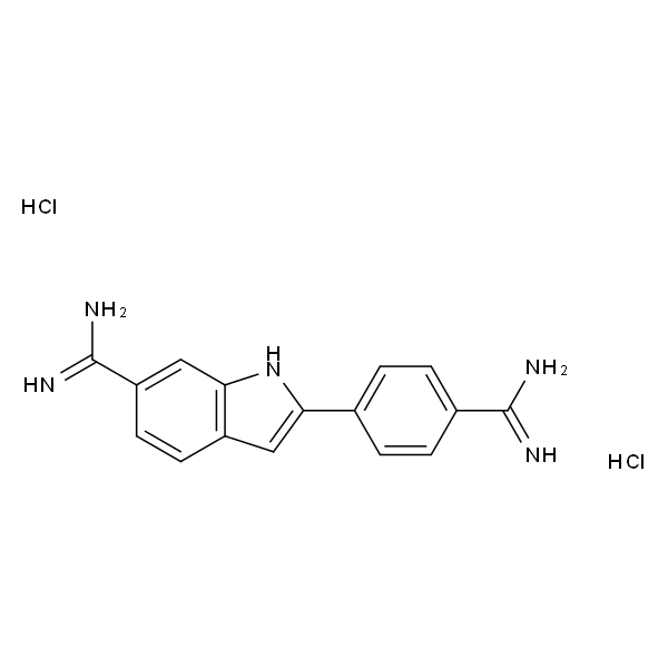 DAPI，4’，6-Diamidino-2-phenylindole dihydrochloride(DAPI)-实验图片