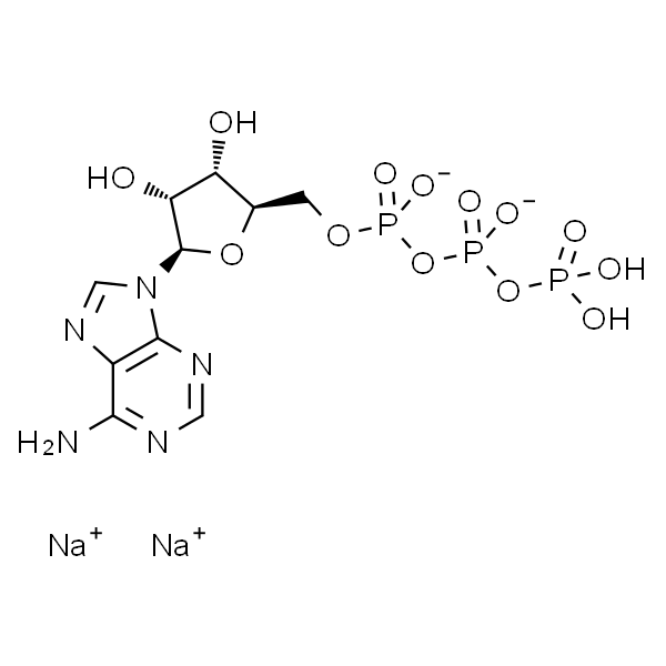 Adenosine-5-Triphosphate Disodium Salt Hydrate-实验图片