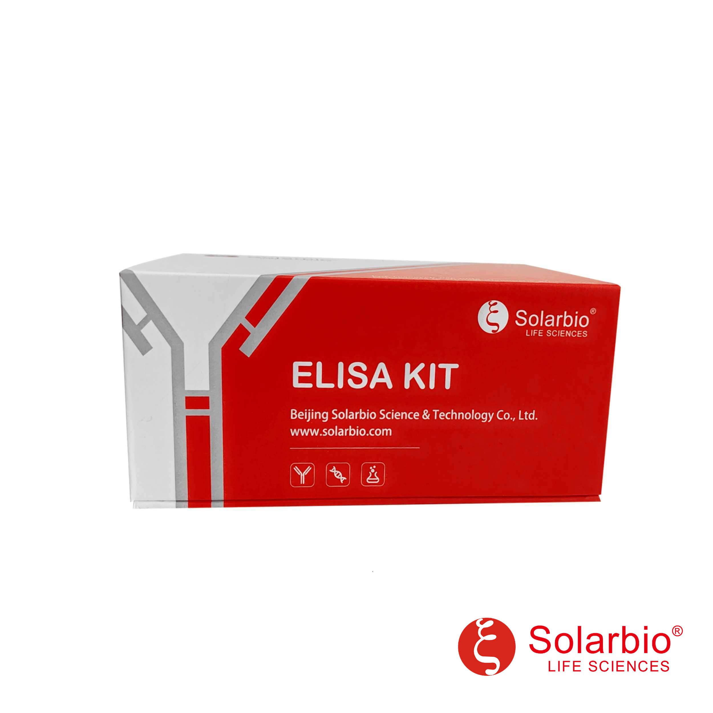 Human clec13d cd206 elisa kit